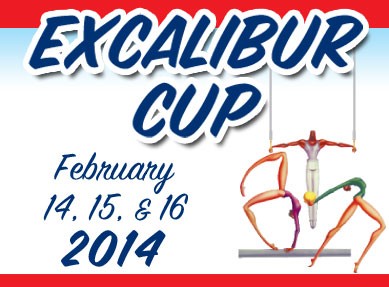 national gymnastics competition
